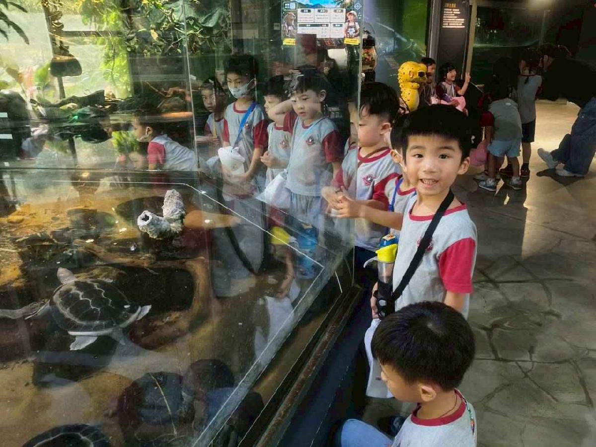 line_album_櫻桃昆蟲館_260603_16