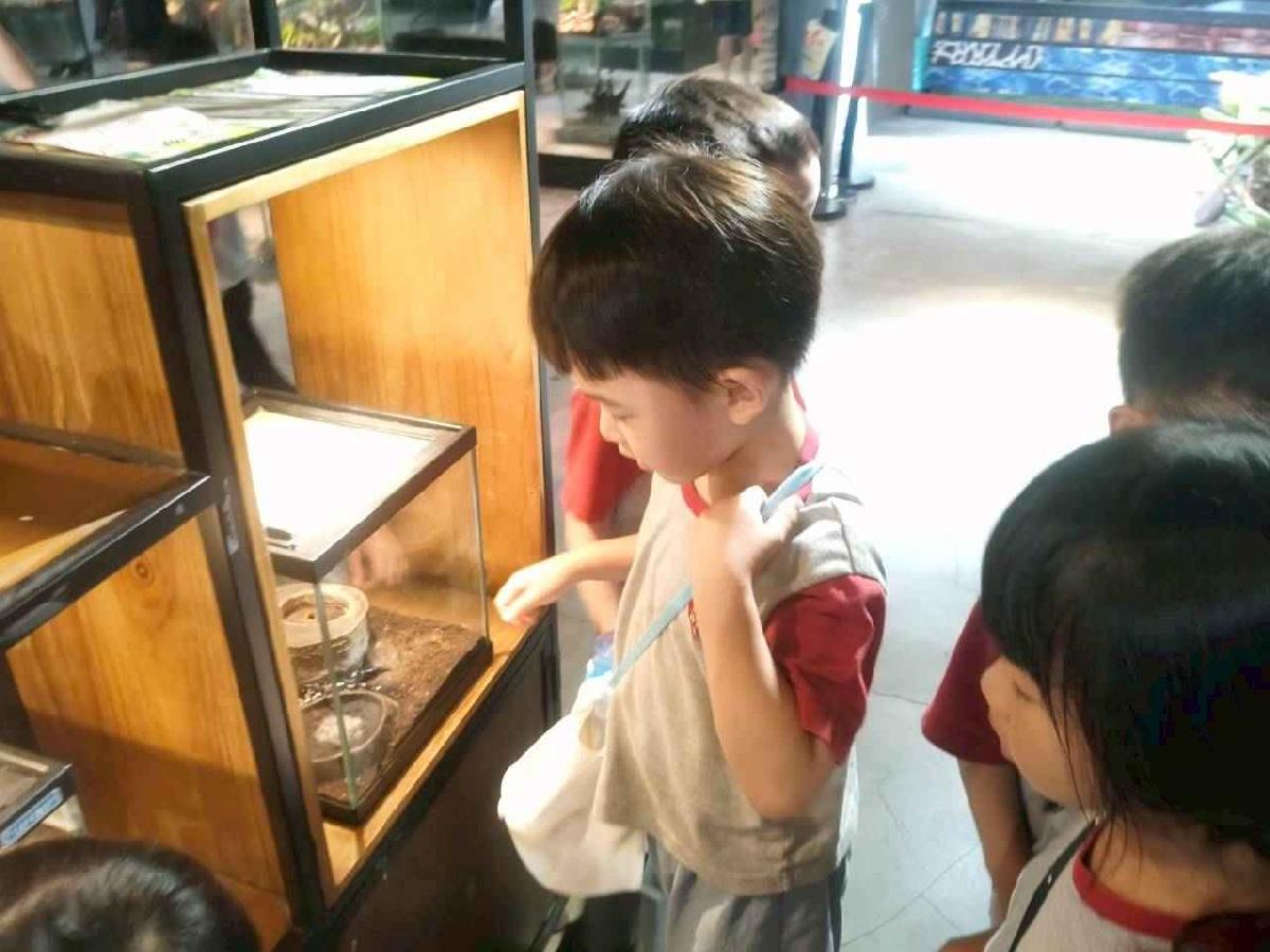 line_album_櫻桃昆蟲館_260603_22