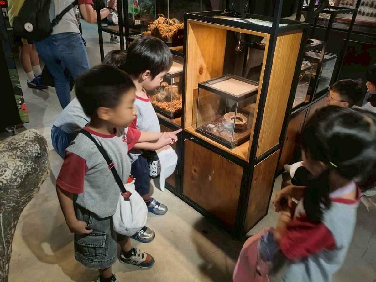 line_album_櫻桃昆蟲館_260603_23